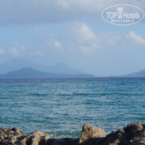 фото из отзыва ID 1309934