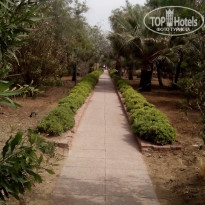 фото из отзыва ID 1309977