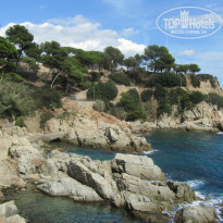 фото из отзыва ID 1309292