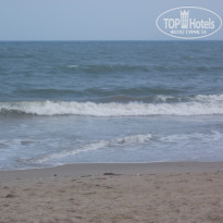 фото из отзыва ID 1309312