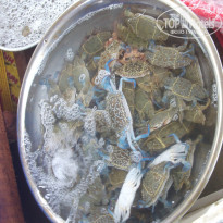 фото из отзыва ID 1309312