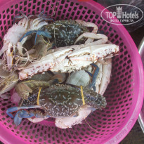 фото из отзыва ID 1309312