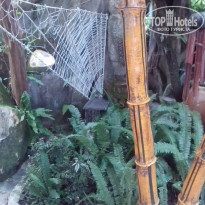 фото из отзыва ID 1309312