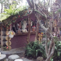 фото из отзыва ID 1309312