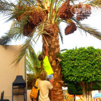 фото из отзыва ID 1307701