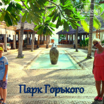 фото из отзыва ID 1305050