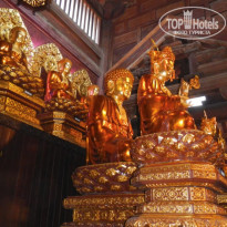 фото из отзыва ID 1304642