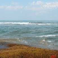 фото из отзыва ID 1302108