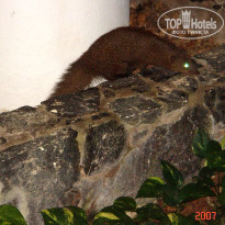 фото из отзыва ID 1302108