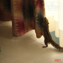 фото из отзыва ID 1302108