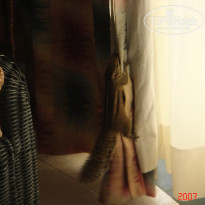 фото из отзыва ID 1302108