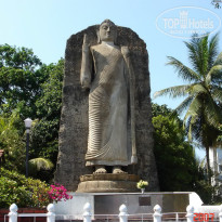 фото из отзыва ID 1302108