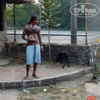 фото из отзыва ID 1302108