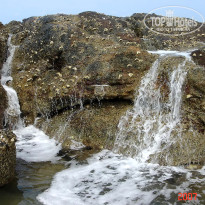 фото из отзыва ID 1302108