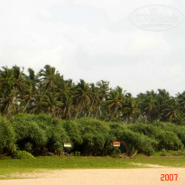 фото из отзыва ID 1302108