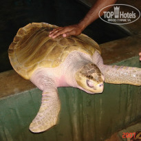 фото из отзыва ID 1302108