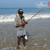 фото из отзыва ID 1302108