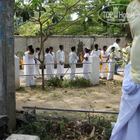 фото из отзыва ID 1302108