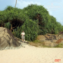 фото из отзыва ID 1302108