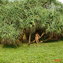 фото из отзыва ID 1302108