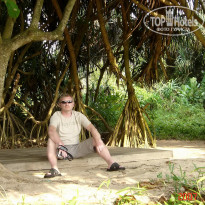 фото из отзыва ID 1302108