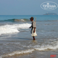 фото из отзыва ID 1302108