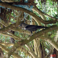 фото из отзыва ID 1302108