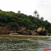 фото из отзыва ID 1302108