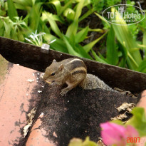 фото из отзыва ID 1302108