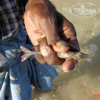 фото из отзыва ID 1302108