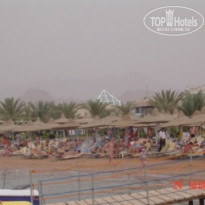 фото из отзыва ID 131014