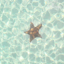 фото из отзыва ID 131143