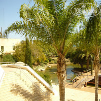 фото из отзыва ID 131527