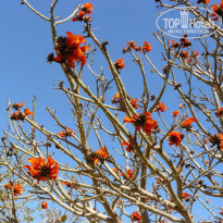 фото из отзыва ID 131527