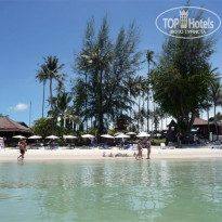 фото из отзыва ID 131538