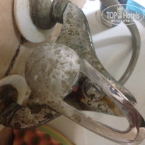 фото из отзыва ID 1310020