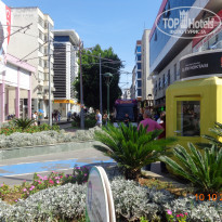 фото из отзыва ID 1310098