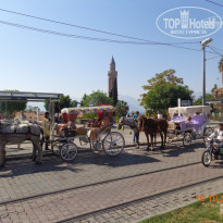 фото из отзыва ID 1310098