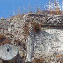 фото из отзыва ID 1310098