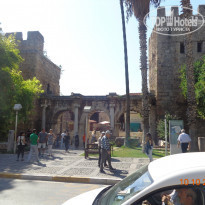 фото из отзыва ID 1310098