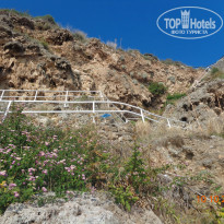 фото из отзыва ID 1310098