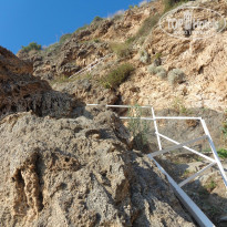 фото из отзыва ID 1310098