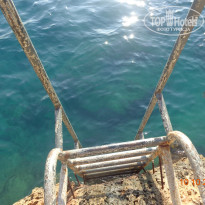 фото из отзыва ID 1310098