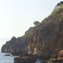 фото из отзыва ID 1310098