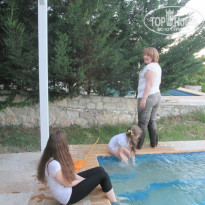 фото из отзыва ID 1310222