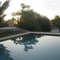 фото из отзыва ID 1310222