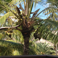 фото из отзыва ID 1310235