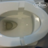 фото из отзыва ID 1310385