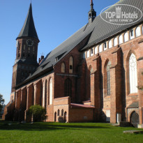 фото из отзыва ID 1310409