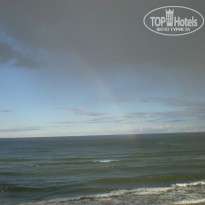 фото из отзыва ID 1310409